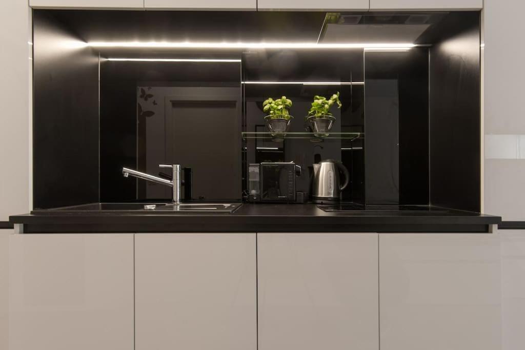 Gorgeous Central Flat With Garage Lublana Zewnętrze zdjęcie