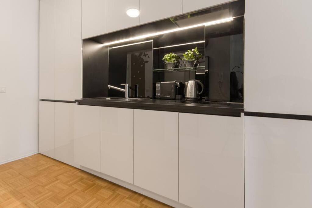 Gorgeous Central Flat With Garage Lublana Zewnętrze zdjęcie